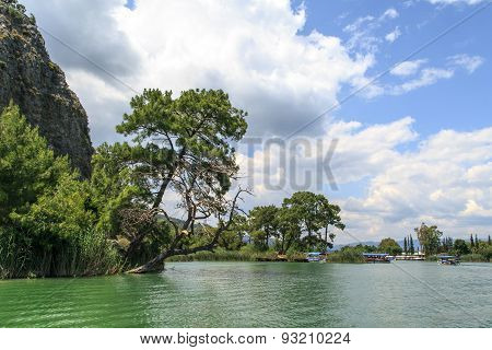 Boat On Dalyan Coastline