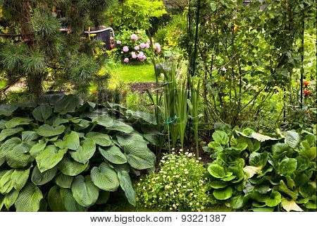 Beautiful Formal Garden With Green Plants And Flowers
