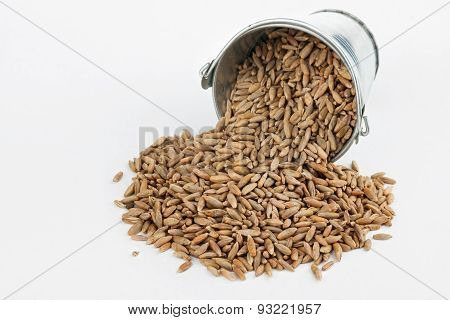 Rye Grains Spilling Out Of Bucket