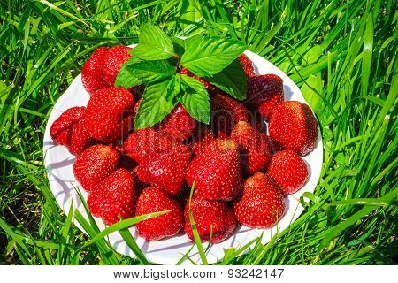 A cup of strawberries on a green lawn