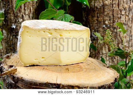 French Cheeses Savoie
