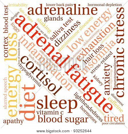 Adrenal Fatigue Word Cloud