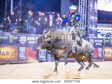 Last Cowboy Standing
