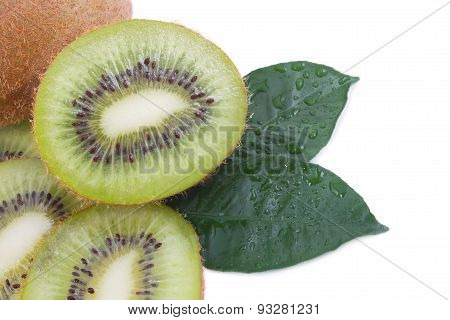 Closeup Kiwi