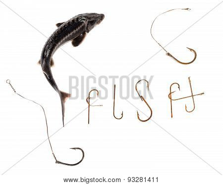 Fresh Sterlet And Word F I S H Composed Of Old Rusty Fish Hooks
