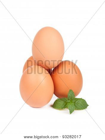Chicken Fresh Eggs