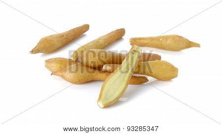 Fingerroot Isolated On The White Background
