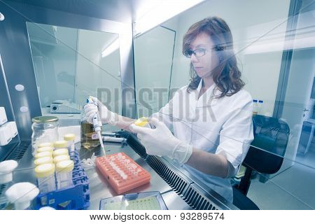 Life scientist researching in the laboratory.