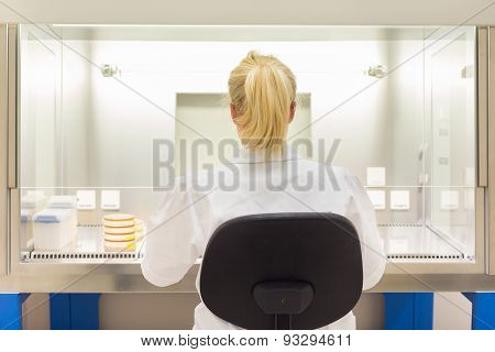 Life scientist researching in the laboratory.