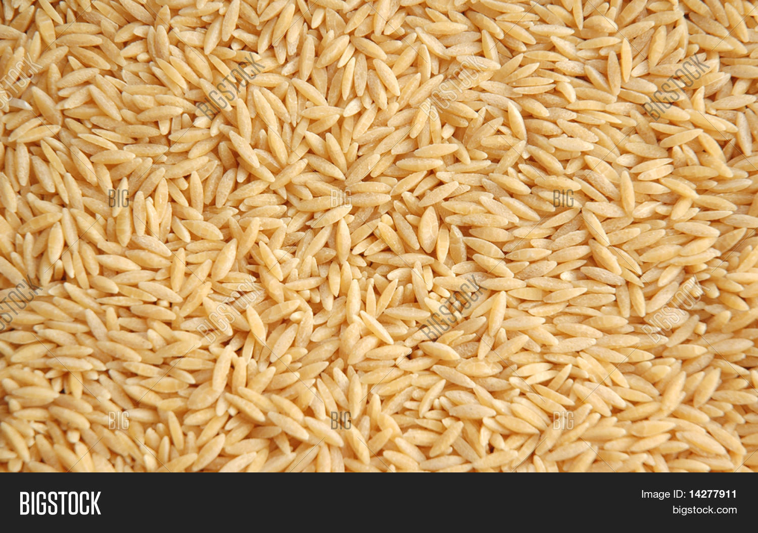 Rice Grains Arranged Image & Photo (Free Trial) | Bigstock