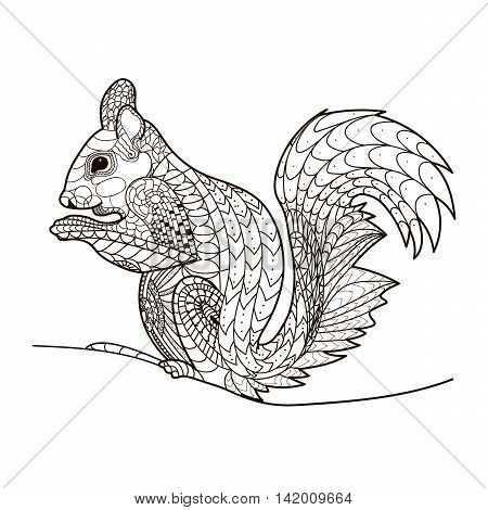 Squirrel In A Line, Coloring Book, Vector, Pattern