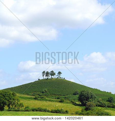 Colmer's Hill near village of Symondsbury in Dorset England