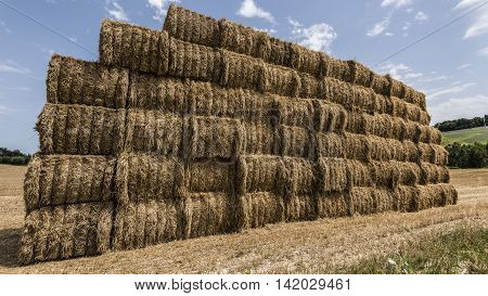 hay and straw bales piles it the countryside