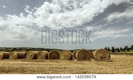hay and straw bales piles it the countryside