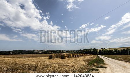 hay and straw bales piles it the countryside
