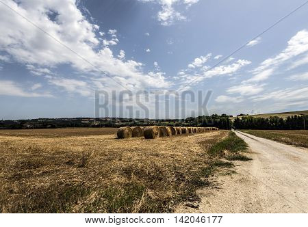 hay and straw bales piles it the countryside