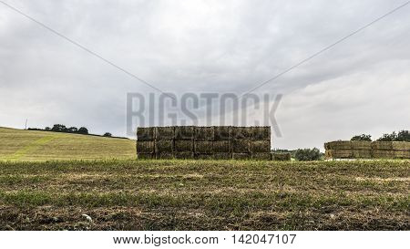 hay and straw bales piles it the countryside