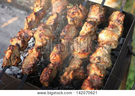 Shashlick laying on the grill close up