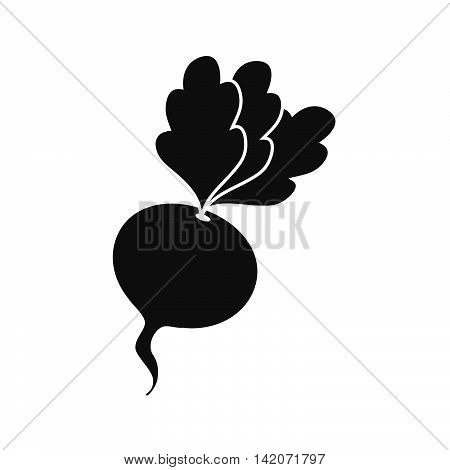 beet beetroot food  vegetable root organic natural vector graphic isolated and flat illustration