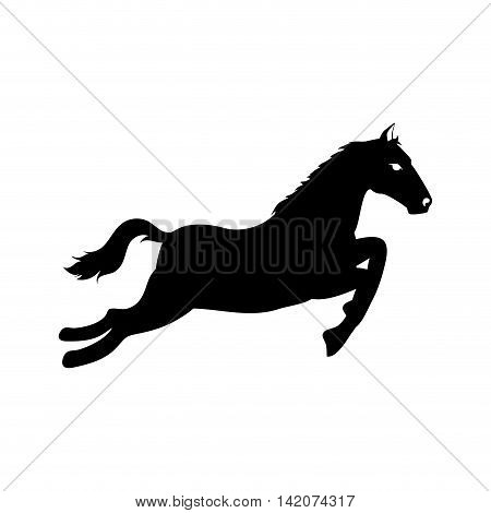 horse ride run equine speed stallion ranch west vector graphic isolated and flat illustration