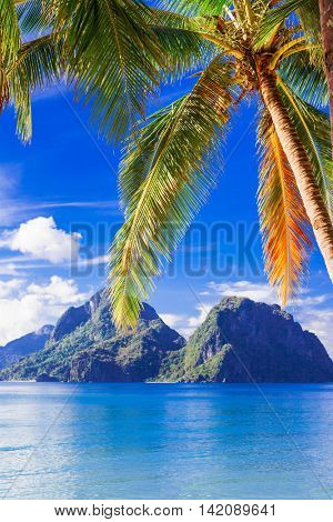 perfect tropical beach scenery - islands of Philippines, Palawan