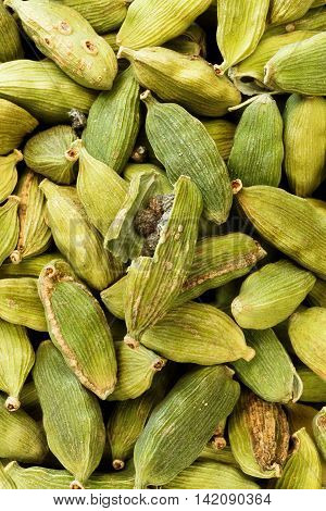 Close up of some green cardamon pods