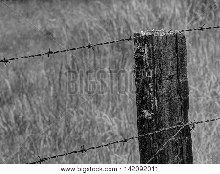 Rustic Fence Post and Barbed Wire in Black and White