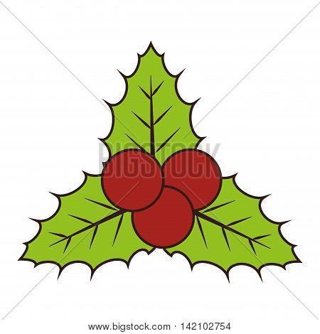 decoration christmas plant leaf european berry december vector graphic isolated and flat illustration