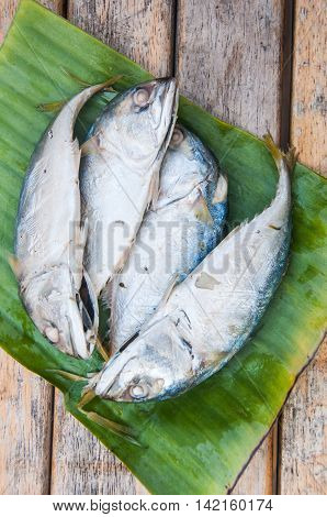 Thai fresh mackerel fish on banana leaf