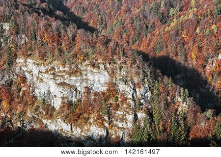 The rock in autumn forest by sunset in Harmanec Slovak republic. Natural scene. Deciduous trees. Beautiful place.