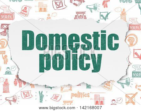 Politics concept: Painted green text Domestic Policy on Torn Paper background with  Hand Drawn Politics Icons