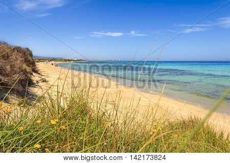 The Regional Natural Park Dune Costiere. (Apulia)ITALY.In the distance you can see the town Torre Canne.The park covers the territories of Ostuni and Fasano along eight kilometers of coastline.