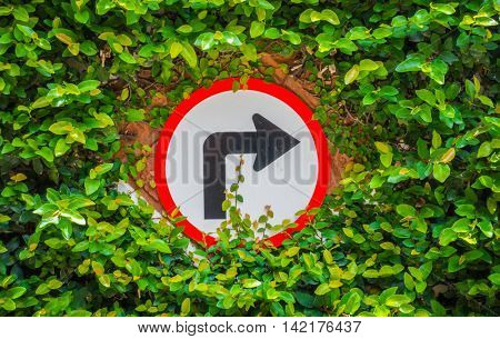 Turns to the right sign with green leaf