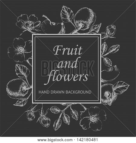 Hand drawn chalk fruit and flower sketched frame. Decorative border with apples flowers buds leaves and shony spots Vintage style background.
