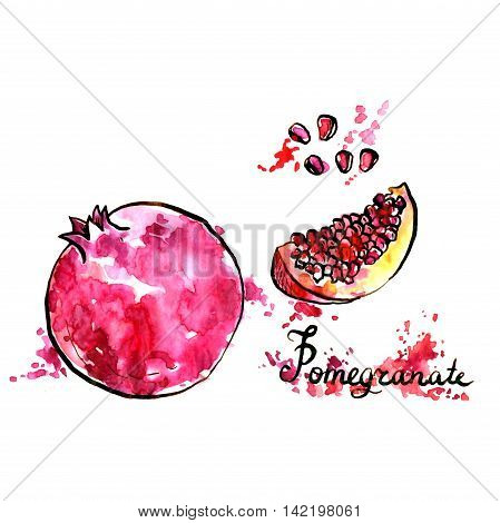 hand drawn pomegranate, ink and watercolor drawing fruit with paint stains