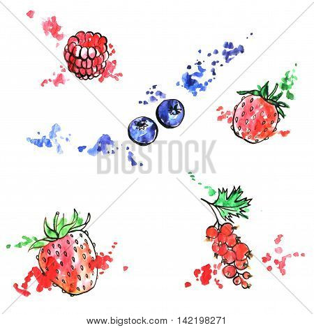 hand drawn berries, ink and watercolor drawing strawberry, red currant, raspberry and blueberry with paint stains