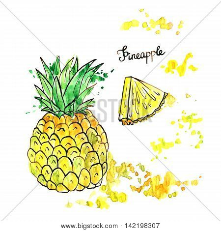 hand drawn pineapple, ink and watercolor drawing fruit with paint stains