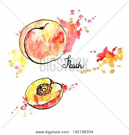 hand drawn peach, half and whole, ink and watercolor drawing fruit with paint stains