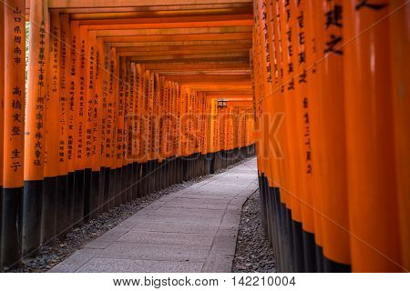 KYOTO, JAPAN - MARCH 24, 2016 : Torii gates in Fushimi Inari Shrine, Kyoto, Japan