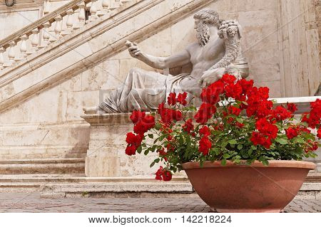 Red Roses in a Terracotta Pot in front of the Statue of Nile God at Piazza del Campidoglio in Rome