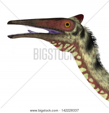 Pelecanimimus Dinosaur Head 3D Illustration - Pelecanimimus was a carnivorous theropod dinosaur that lived in the Cretaceous Period of Spain.