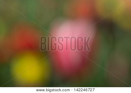 Brown lumpy soil in a shady light as a background