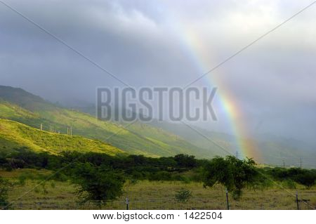Tropické Rainbow