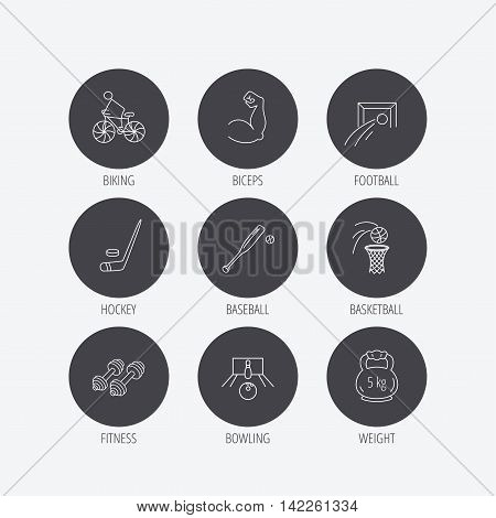 Ice hockey, football and basketball icons. Fitness sport, baseball and bowling linear signs. Biking, weightlifting icons. Linear icons in circle buttons. Flat web symbols. Vector