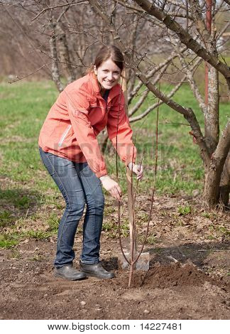Woman Resetting  Tree Sprouts