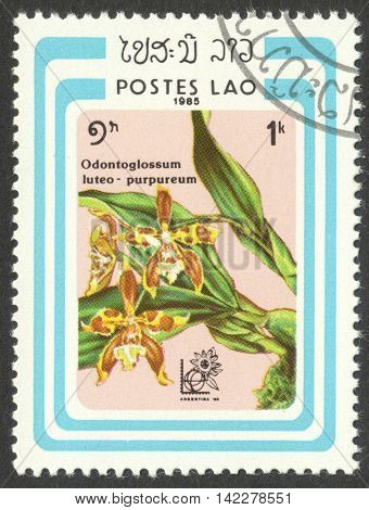 MOSCOW RUSSIA - CIRCA MAY 2016: a post stamp printed in LAOS shows Odontoglossum luteo-purpureum orchid the series 