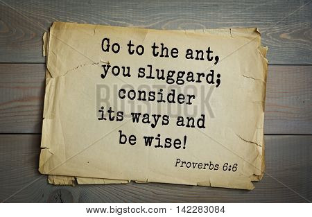 TOP-700 Bible verses from Proverbs. Go to the ant, you sluggard; consider its ways and be wise!