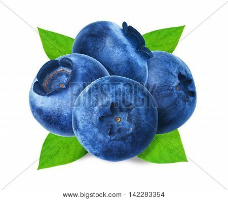 Juicy and fresh blueberries with green leaves on white background. Blue color blueberries close-up. Image of blueberries with high resolution. Hurtleberry antioxidant. Useful whortleberry for vision.