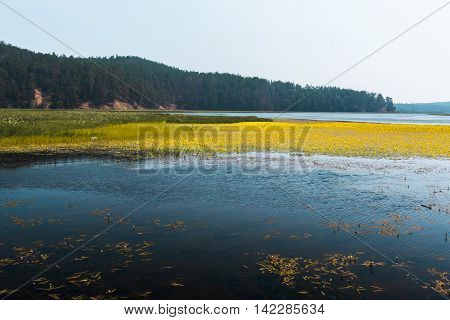 North river Kika forms extensive meadows full of different plants and animals in the place where it flows into lake Baikal.