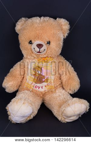 Funny brown Teddy bear on dark background